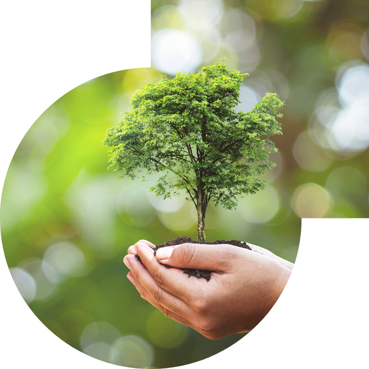 关怀人类、文化、环境与社会